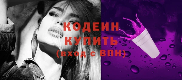 гидра Арсеньев