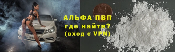 гидра Арсеньев