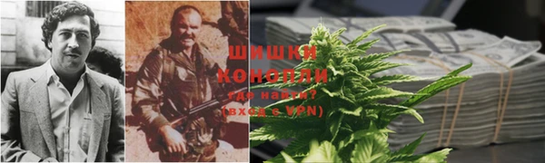 гидра Арсеньев