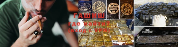 гидра Арсеньев
