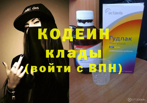 гидра Арсеньев