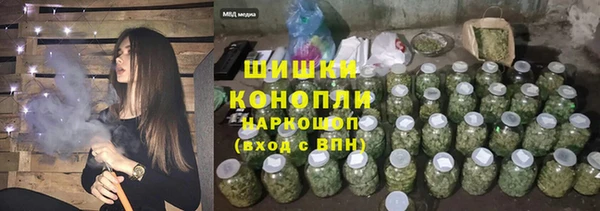 гидра Арсеньев