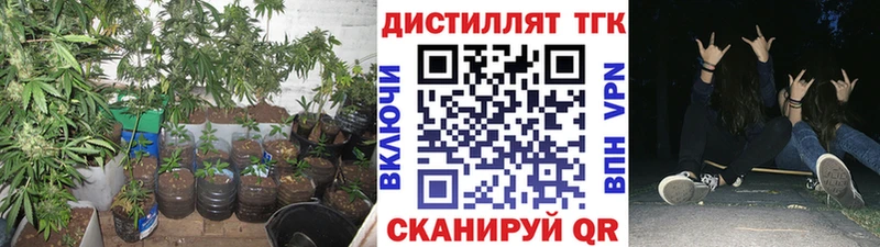 цены   площадка как зайти  kraken ТОР  Дистиллят ТГК THC oil  Волгодонск 